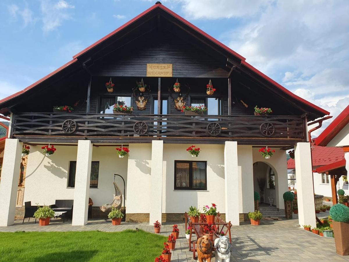 Casa Alexandru - Locul In Care Te Simti Acasa Hotel Viseu de Jos Bagian luar foto