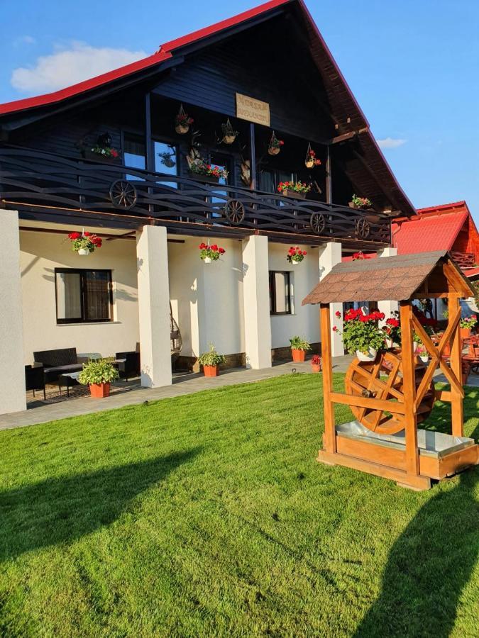 Casa Alexandru - Locul In Care Te Simti Acasa Hotel Viseu de Jos Bagian luar foto
