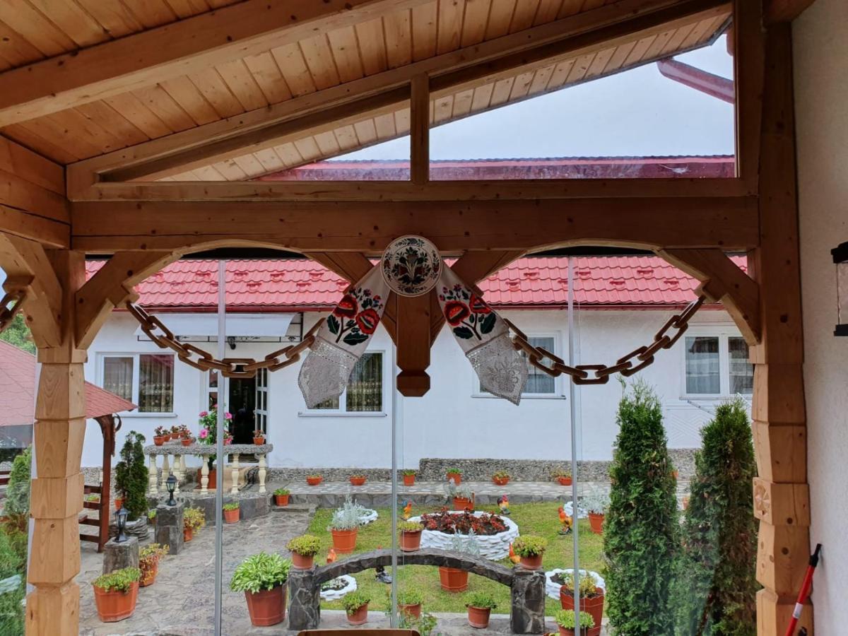 Casa Alexandru - Locul In Care Te Simti Acasa Hotel Viseu de Jos Bagian luar foto