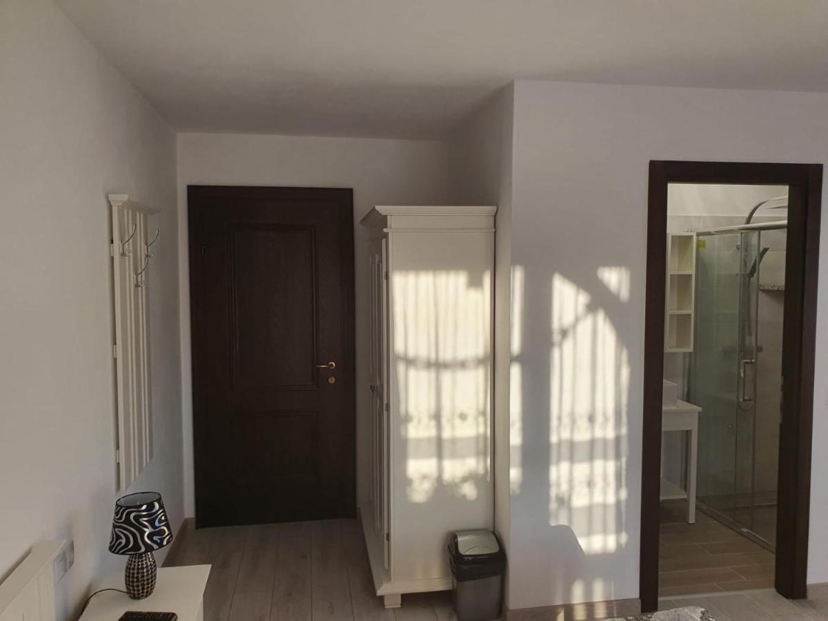 Casa Alexandru - Locul In Care Te Simti Acasa Hotel Viseu de Jos Bagian luar foto