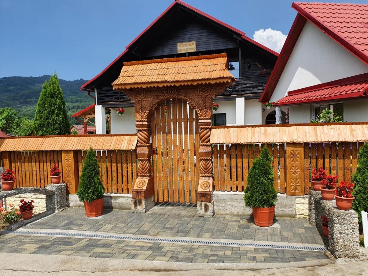 Casa Alexandru - Locul In Care Te Simti Acasa Hotel Viseu de Jos Bagian luar foto
